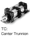 Canter Trunnion
