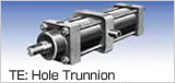 Hole Trunnion